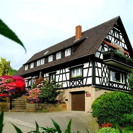 Pension Am Weinberg Sasbachwalden Luaran gambar