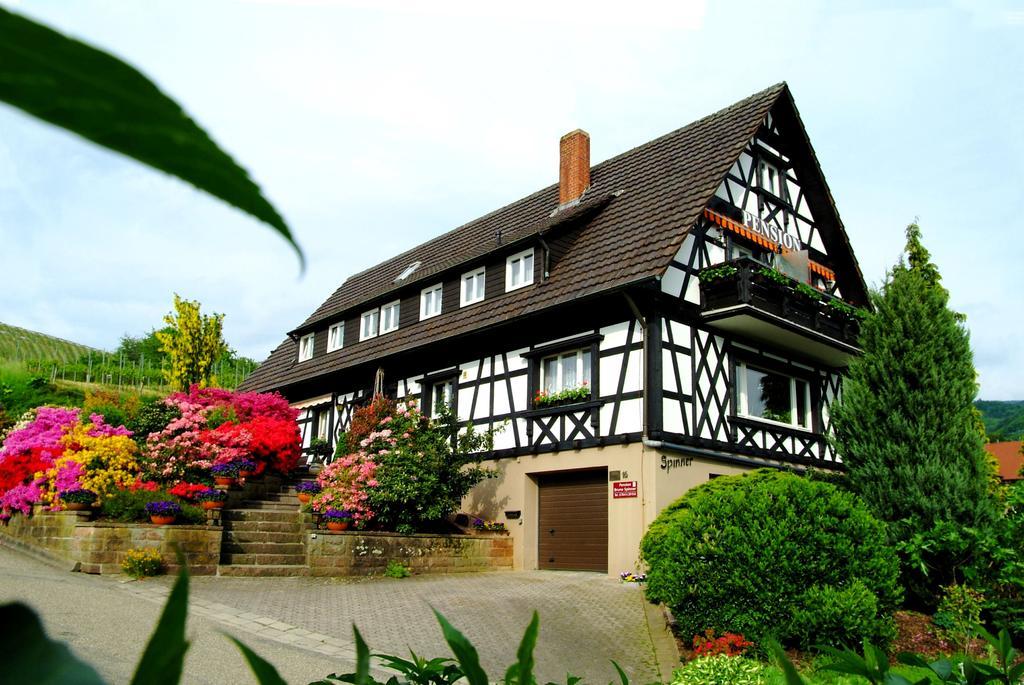 Pension Am Weinberg Sasbachwalden Luaran gambar